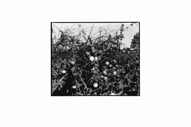 diplomfoto jens frank